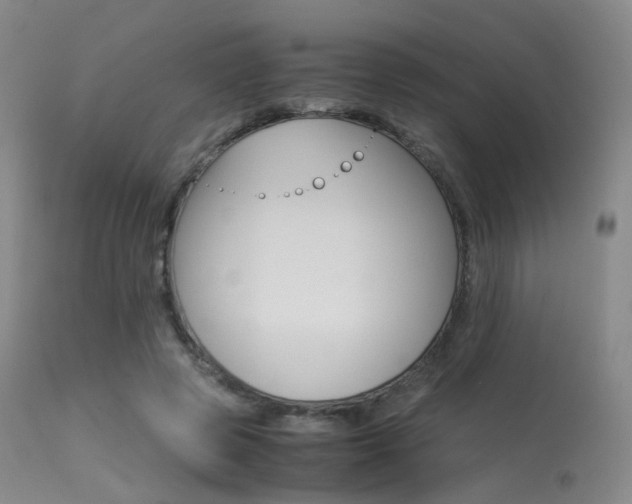 X0000113540545200909181026