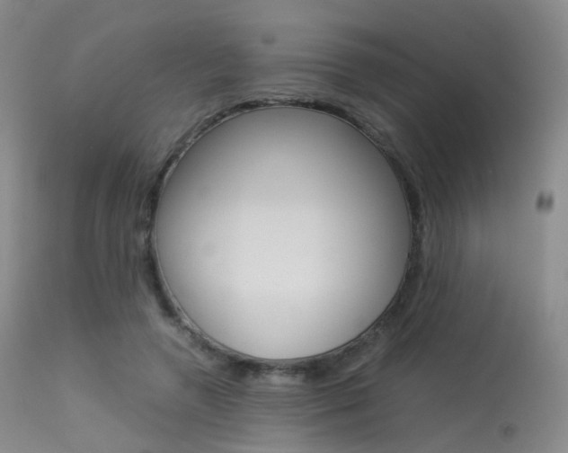 X0000113540546200909181026