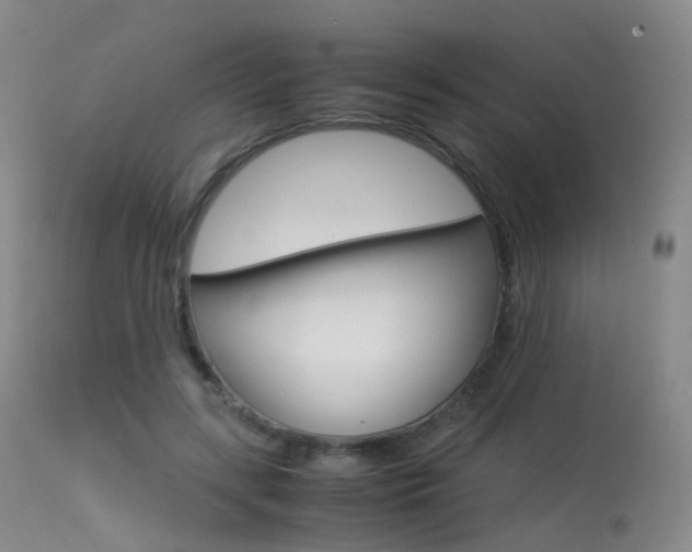 X0000113540547200909181026