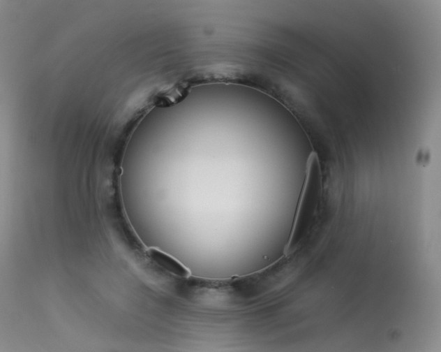 X0000113540548200909181026