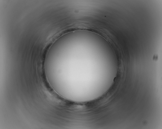 X0000113540552200909181026