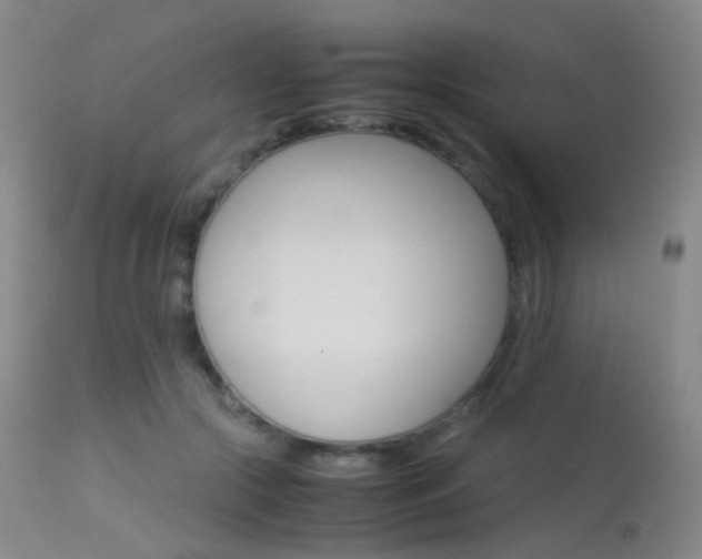 X0000113540553200909181026