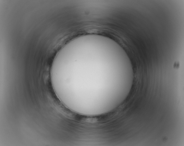 X0000113540554200909181026