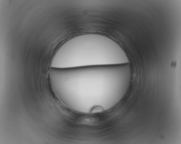 X0000113540555200909181026