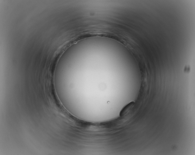 X0000113540556200909181026