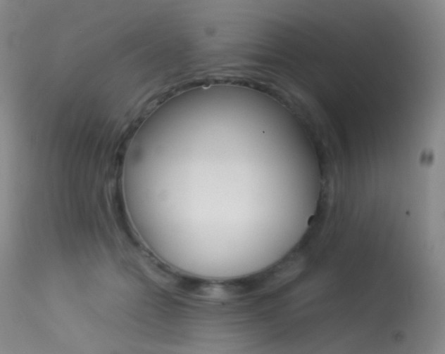 X0000113540558200909181026