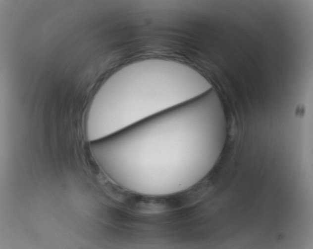X0000113540559200909181026