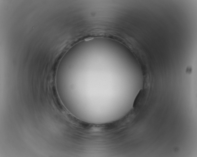 X0000113540560200909181026