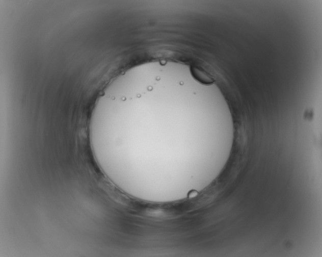 X0000113540561200909181026