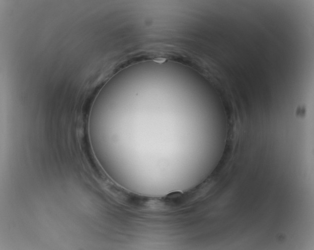 X0000113540562200909181026