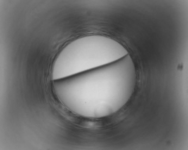 X0000113540563200909181026