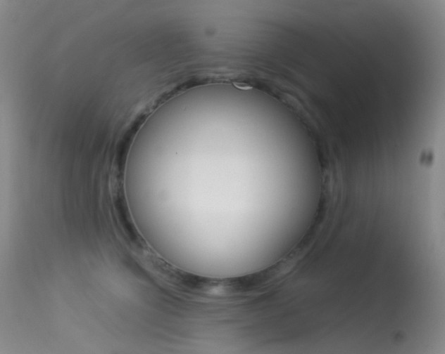 X0000113540564200909181026