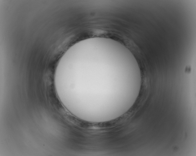 X0000113540565200909181026