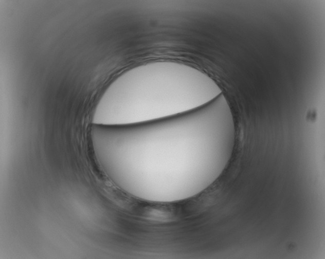 X0000113540567200909181026