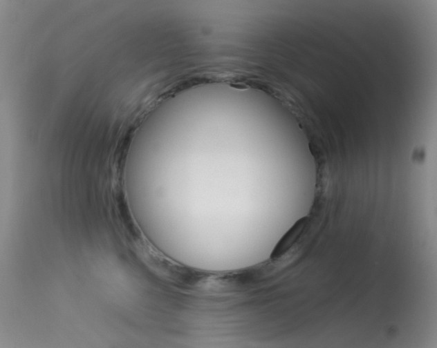 X0000113540568200909181026