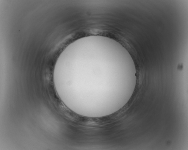 X0000113540569200909181026