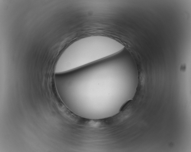 X0000113540570200909181026