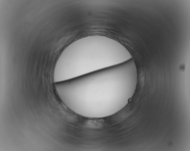 X0000113540571200909181026