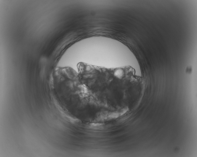 X0000113540573200909181026