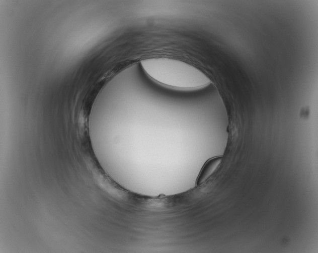 X0000113540574200909181026