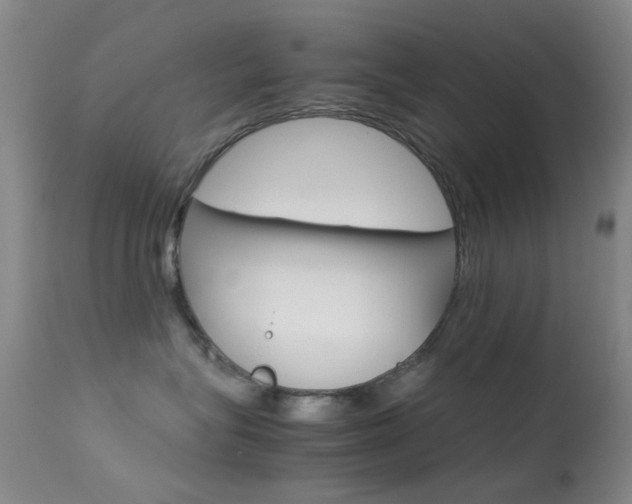 X0000113540575200909181026
