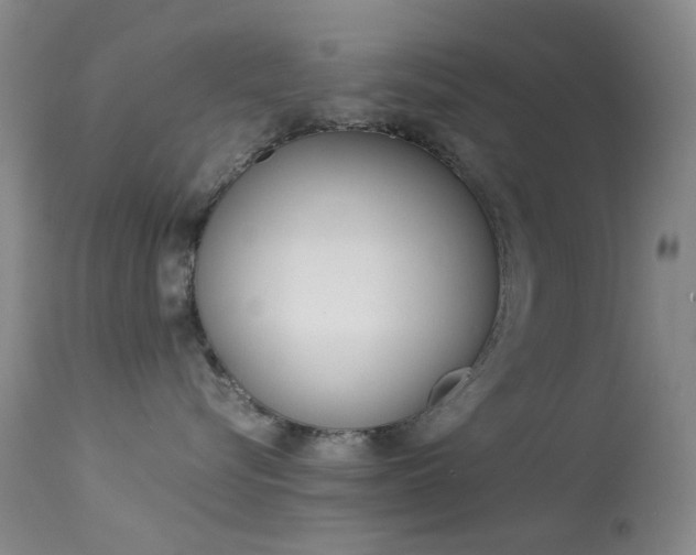 X0000113540576200909181026