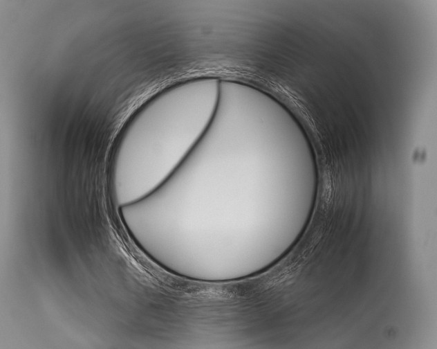X0000113540578200909181026