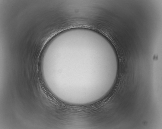 X0000113540579200909181026