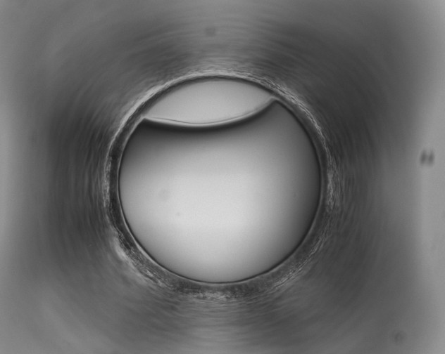 X0000113540580200909181026