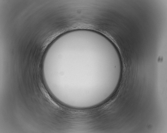 X0000113540581200909181025