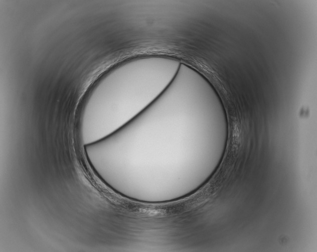 X0000113540582200909181025