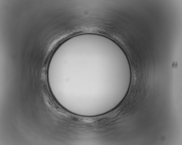 X0000113540583200909181025