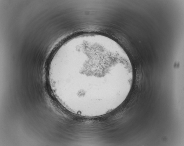 X0000113540584200909181025