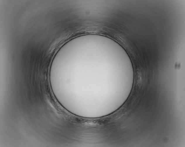 X0000113540586200909181025