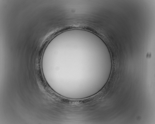 X0000113540587200909181025