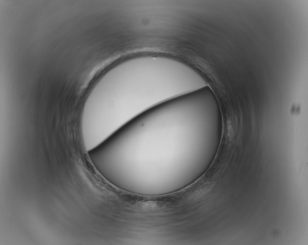 X0000113540588200909181025
