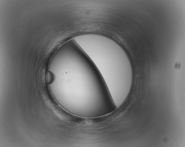 X0000113540589200909181025