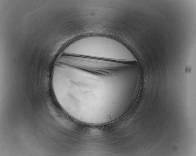 X0000113540592200909181025