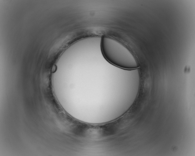 X0000113540595200909181025