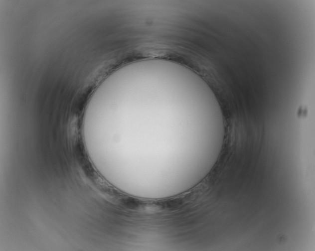 X0000113540598200909181025