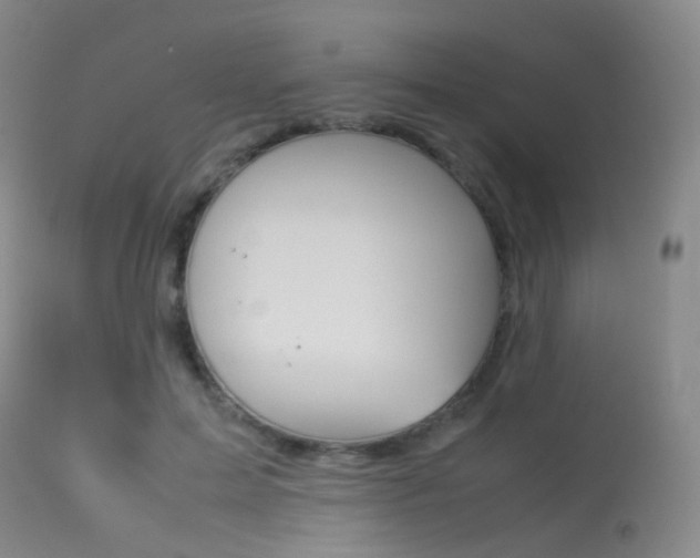 X0000113540599200909181025