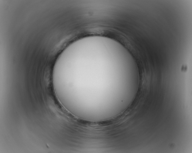 X0000113540600200909181025