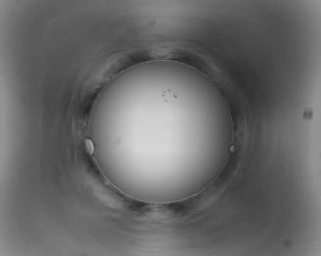 X0000113540601200909181025