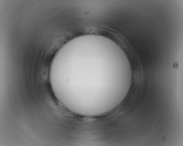 X0000113540602200909181025