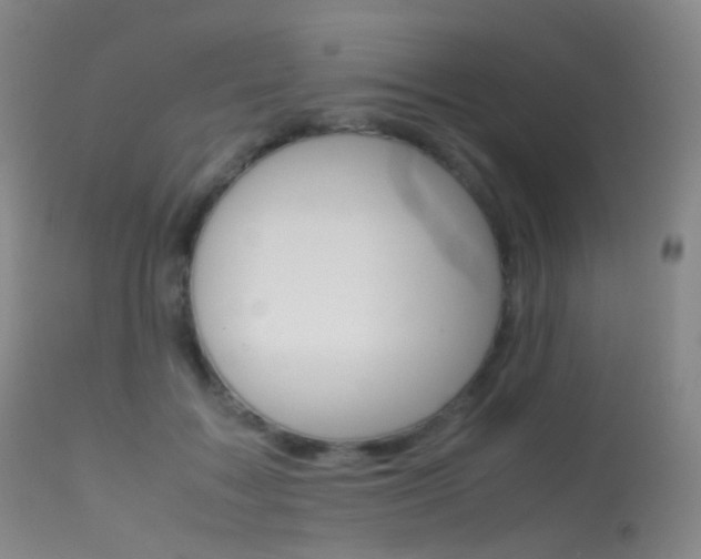 X0000113540603200909181025
