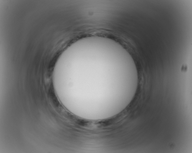 X0000113540607200909181025