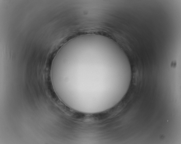 X0000113540608200909181025