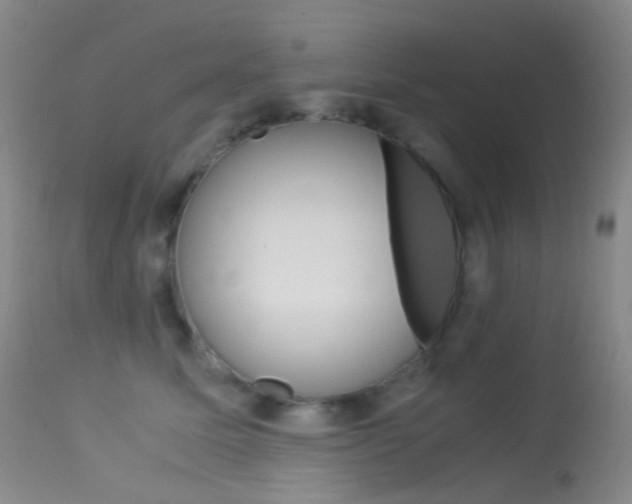 X0000113540611200909181025