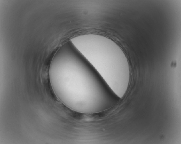 X0000113540613200909181025