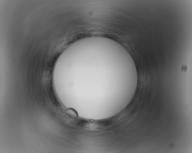 X0000113540614200909181025